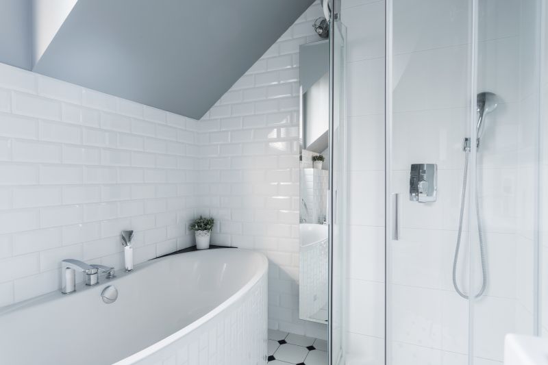 Modern Shower Areas
